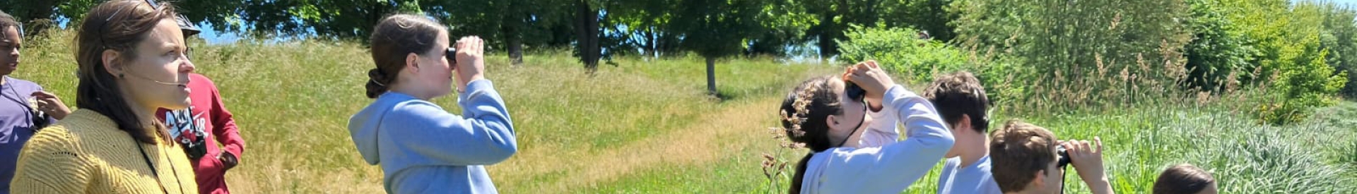 Panorama de l'Éducation à l'Environnement