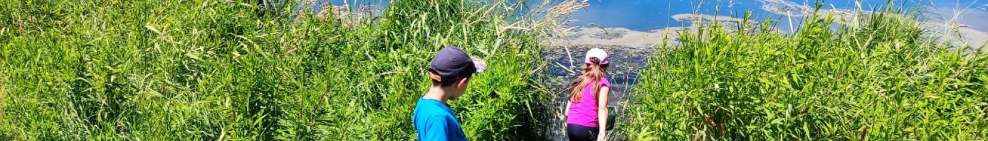 L'EEDD à l'école, c'est possible !