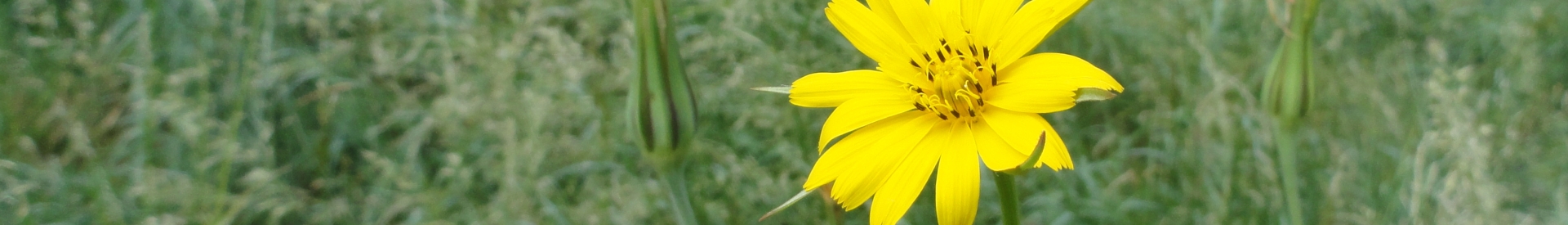 Programme de formations 2026